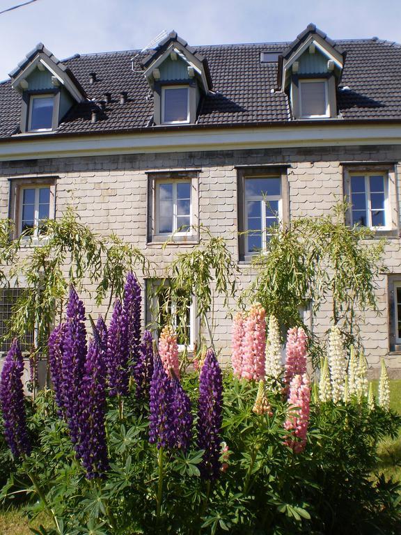 Chambres D'Hotes Le Clos Des Lesses Fresse-sur-Moselle Экстерьер фото